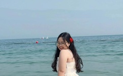 外交部泰刚叛徒